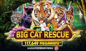 Hình ảnh trò chơi Big Cat Rescue Megaways tại shbetgame